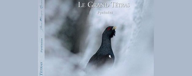 le-grand-tetra Le grand Tétra - Jean-François Marsalle