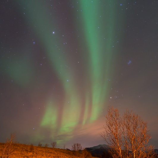 Aurores Boréales Norvège – Tromsø – Mickaël Bonnami Photographe – 13 Aurores Boréales Norvège - Tromsø - Mickaël Bonnami Photographe