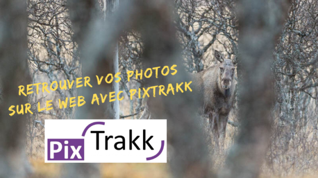 Retrouver vos photos sur le web avec Pixtrakk
