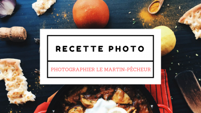 La recette d'une photo - Photographier le Martin-Pêcheur