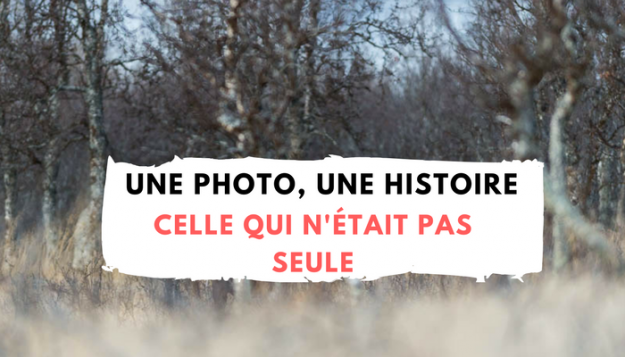 Une photo, une histoire élan Une photo, une histoire – Celle qui n’était pas seule - Norvège - Élan