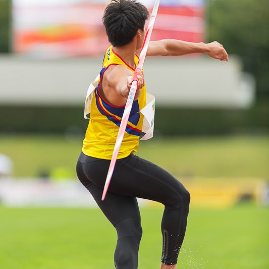 Décastar 2017 – Decathlon (5) Décastar 2017 - Decathlon - Talence - Akihiko Nakamura