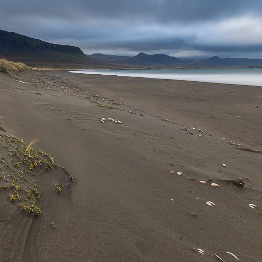 Westfjords Islande (23) Westfjords Islande - Brimilsvellir