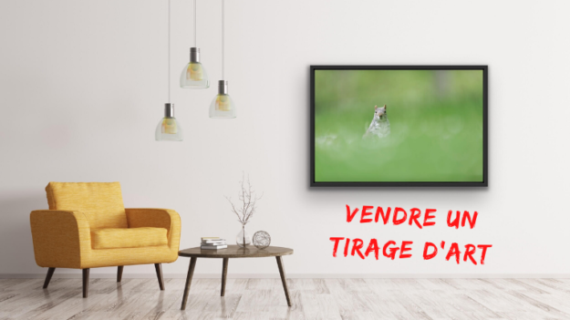 Vendre un tirage d’art (2) Vendre un tirage d'art - Tirage Fine Art - Mickaël Bonnami Photographe