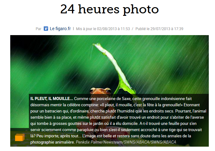 Journal Le Figaro - Cruauté Animale