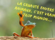 La cruauté envers les animaux, c'est vraiment trop mignon...