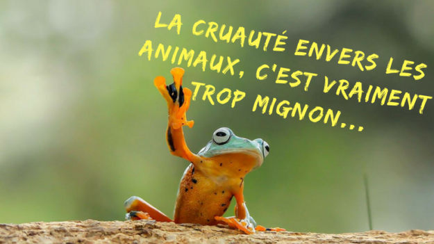La cruauté envers les animaux, c’est vraiment trop mignon… La cruauté envers les animaux, c'est vraiment trop mignon...