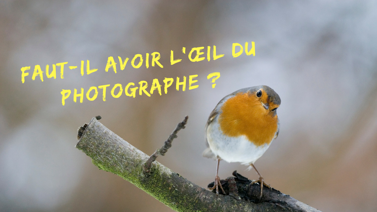 Faut-il avoir l’œil du photographe ? Mickaël Bonnami Photographe
