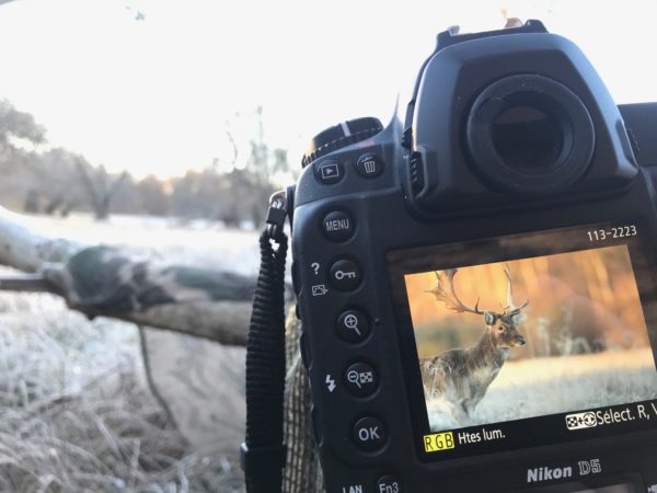 Quelles sont les spécificités d'un appareil photo hybride ?