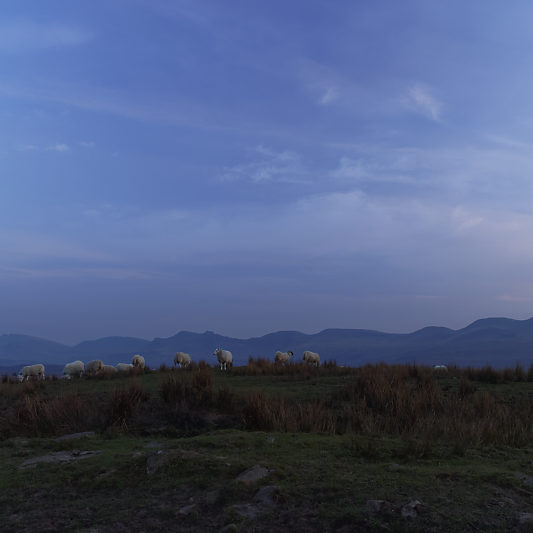Ile de Skye - Écosse - Voyage photo VP23 - Mickaël Bonnami Photographe