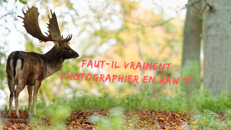 Faut-il vraiment photographier en RAW _ Faut-il vraiment photographier en RAW ? - RAW ou JPEG ?