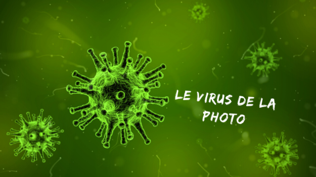 Le virus de la photo - Mickaël Bonnami Photographe
