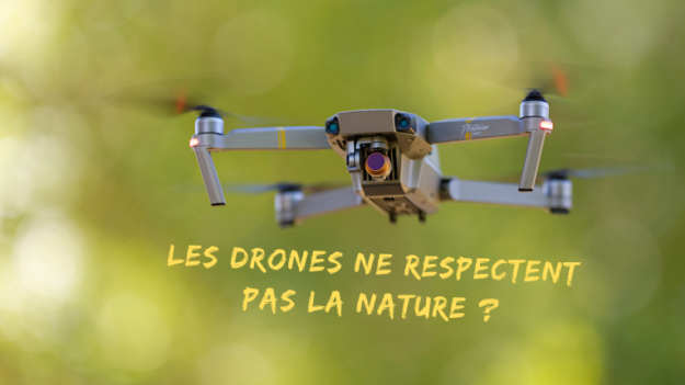 Les drones ne respectent pas la nature ?