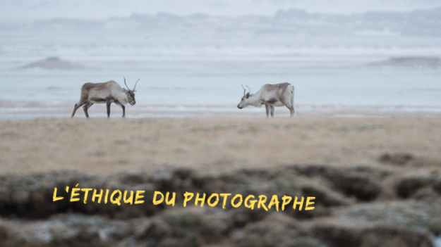 L’éthique du photographe - Rennes Islande