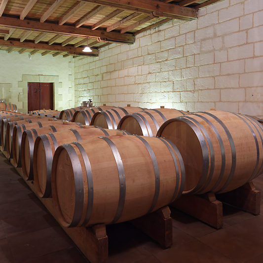 _DSC7183_23 Château et vignobles Tournefeuille - Stage photo VP23 - Pomerol