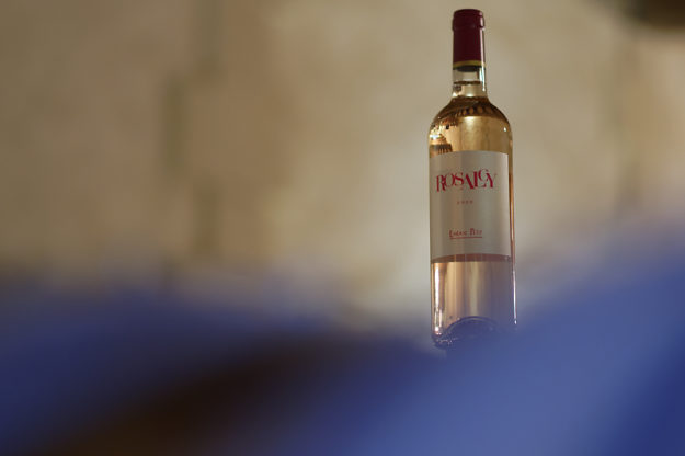 Château et vignobles Tournefeuille - Stage photo VP23 - Pomerol