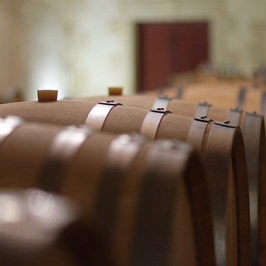 _DSC7269_23 Château et vignobles Tournefeuille - Stage photo VP23 - Pomerol