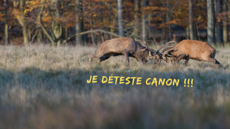 Je déteste Canon