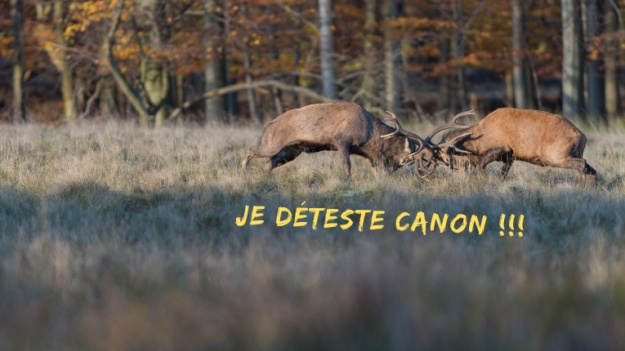 Je déteste Canon