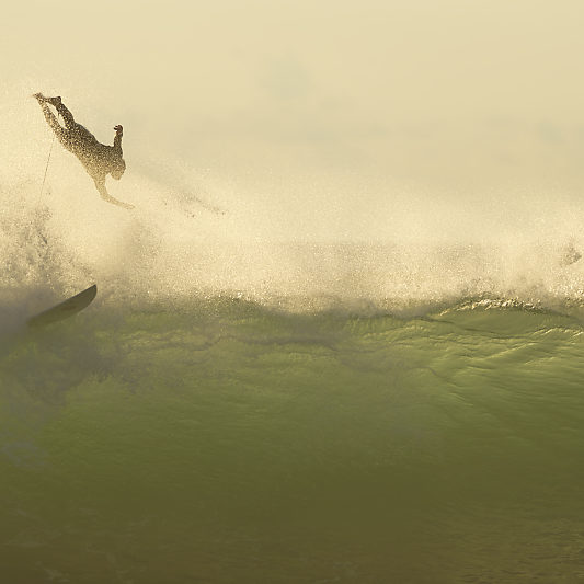 Surf Hossegor 2021 - Stage photo Surf VP23