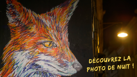 Découvrez la photo de nuit - Photo de nuit à Bordeaux - Stage photo de nuit - Bordeaux