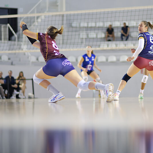 Burdis Bordeaux - IFVB - Volley-ball - Camille Chalard - Palais des sports Bordeaux