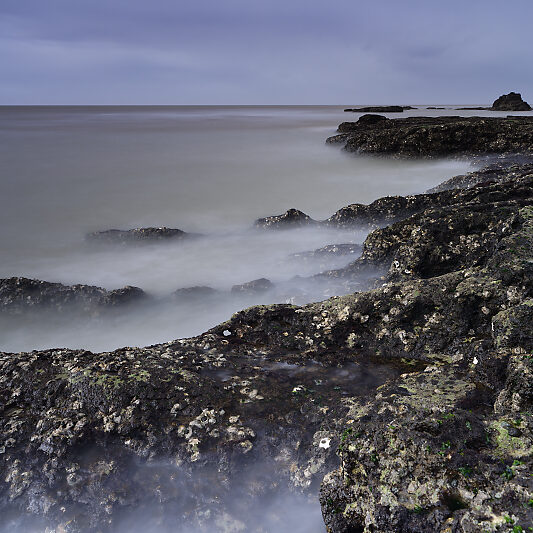Stage photo Atlantique - Royan - Saint-Palais-sur-Mer - Cote Atlantique