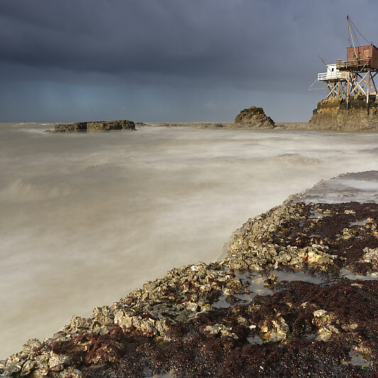 Stage photo Atlantique - Royan - Saint-Palais-sur-Mer - Cote Atlantique