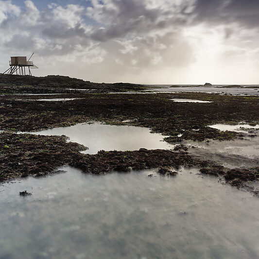 Stage photo Atlantique - Royan - Saint-Palais-sur-Mer - Cote Atlantique
