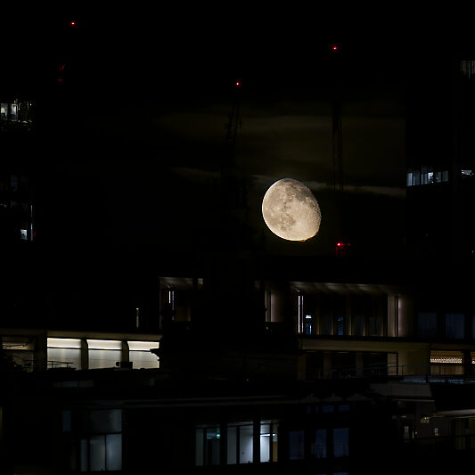 Lost in London - Londres